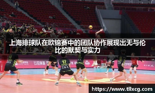 上海排球队在欧锦赛中的团队协作展现出无与伦比的默契与实力