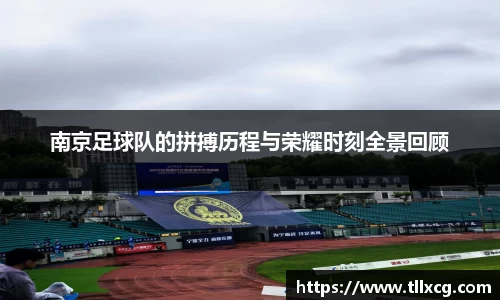 南京足球队的拼搏历程与荣耀时刻全景回顾